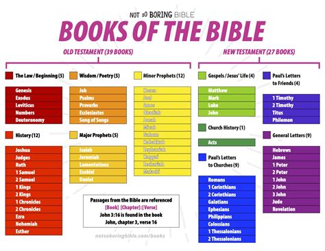 How Many Lost Books of the Bible Are There? And Why Do They Haunt Our Imaginations?