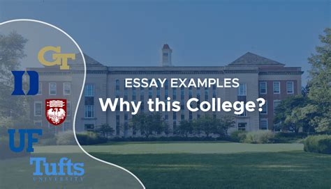 Why You Choose This School Essay: A Journey Through Uncharted Academic Waters